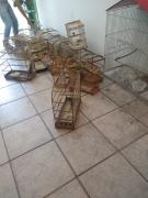 WhatsApp Image 2023-02-01 at 09.13.27 (2)