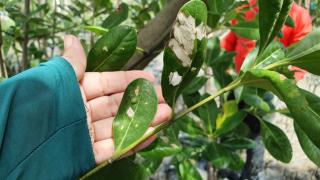 WhatsApp Image 2023-04-04 at 13.44.38