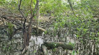 WhatsApp Image 2023-04-04 at 13.44.45