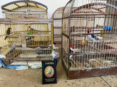 WhatsApp Image 2023-04-14 at 13.48.21 (1)