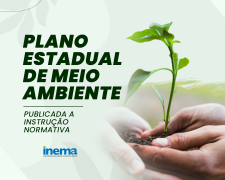 instrução normativa - site