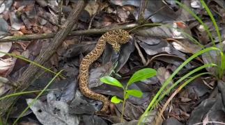 WhatsApp Image 2023-05-05 at 17.34.10