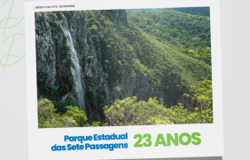 c09acdea-c7ad-4eb3-8404-0f19553a9da2