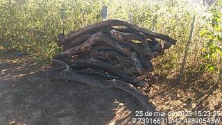 WhatsApp Image 2023-06-05 at 14.04.43 (1)