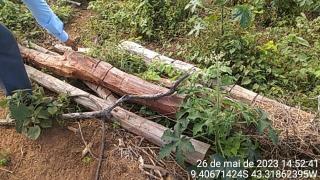 WhatsApp Image 2023-06-05 at 14.04.45 (3)