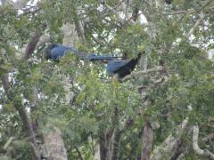 WhatsApp Image 2023-06-19 at 16.09.01 (1)