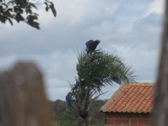 WhatsApp Image 2023-06-19 at 16.09.01