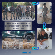 Equipe do Cetas acolhendo 42 pássaros silvestres entregues aprendidos pela COPPA (2)