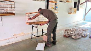 WhatsApp Image 2023-07-11 at 17.31.24