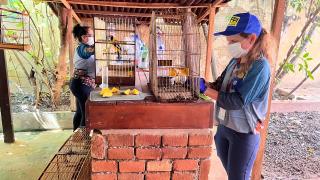 WhatsApp Image 2023-07-11 at 17.31.25