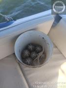 WhatsApp Image 2023-07-13 at 11.14.19