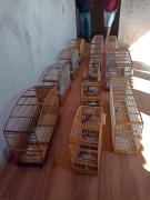 WhatsApp Image 2023-07-14 at 08.39.44