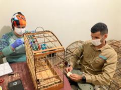 WhatsApp Image 2023-07-14 at 15.46.13