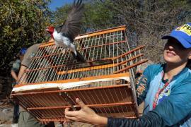 WhatsApp Image 2023-07-17 at 10.19.23