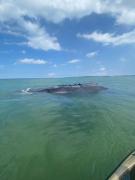 WhatsApp Image 2023-07-17 at 17.27.47