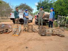 WhatsApp Image 2023-07-19 at 12.58.53