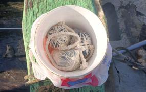 IMG-20230824-WA0002-01