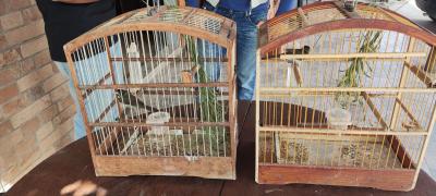 WhatsApp Image 2023-08-11 at 01.03.19