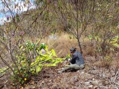 WhatsApp Image 2023-08-18 at 16.04.10