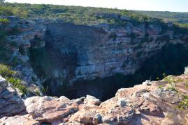 WhatsApp Image 2023-08-26 at 09.59.01