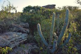 WhatsApp Image 2023-08-26 at 09.59.04 (1)