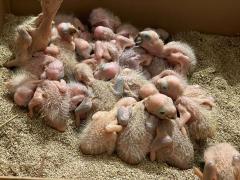 WhatsApp Image 2023-08-30 at 10.44.34