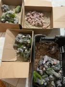 WhatsApp Image 2023-08-30 at 10.44.46