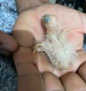 WhatsApp Image 2023-08-30 at 10.44.56