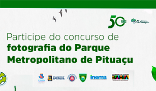 Pituaço-Fotografia-2Intranet-2