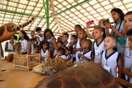 WhatsApp Image 2023-09-25 at 17.31.24