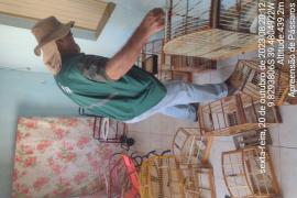 Apreensão de Pássaros