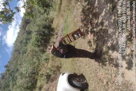 Op._Arara-Kuara_Raso Catarina_Jeremoabo