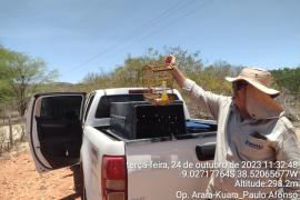 Op. Arara-Kuara_Paulo Afonso