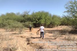 Op. Arara-Kuara_Abare_SolturaPassaros