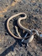 WhatsApp Image 2023-10-30 at 11.55.42