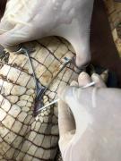 WhatsApp Image 2023-11-03 at 14.01.24