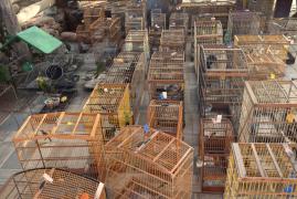 WhatsApp Image 2023-11-09 at 08.10.47 (2)