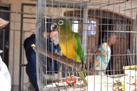 WhatsApp Image 2023-11-09 at 08.10.48 (1)