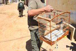 WhatsApp Image 2023-11-09 at 08.10.50 (1)