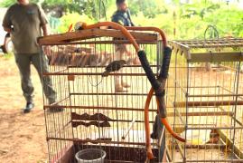 WhatsApp Image 2023-11-09 at 08.10.50