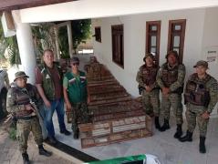 WhatsApp Image 2023-11-11 at 00.28.27