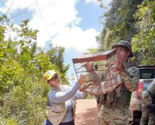 WhatsApp Image 2023-11-11 at 09.56.49