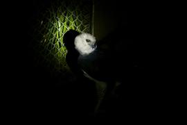 WhatsApp Image 2023-11-23 at 15.19.15 (1)