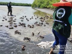 WhatsApp Image 2024-01-16 at 18.10.05 (1)