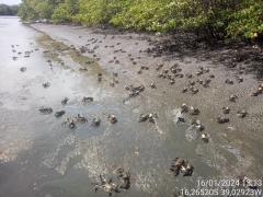 WhatsApp Image 2024-01-16 at 18.10.06 (1)