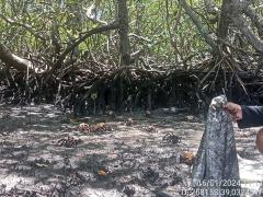 WhatsApp Image 2024-01-16 at 18.10.06 (2)