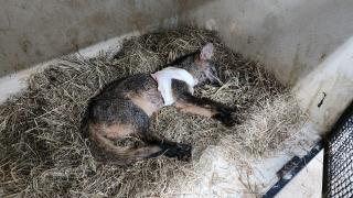 WhatsApp Image 2024-02-23 at 20.25.34