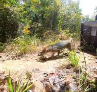 WhatsApp Image 2024-02-28 at 17.42.36