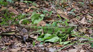 WhatsApp Image 2024-03-01 at 15.23.33