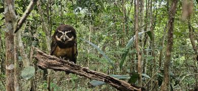 WhatsApp Image 2024-03-01 at 15.23.34 (1)